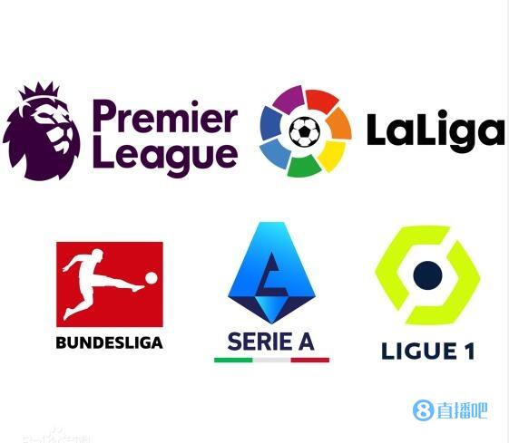 也在国内篮 也在国内篮